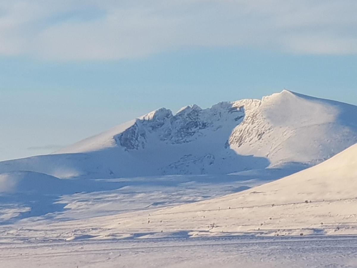 Snohetta Camping Hjerkinn Екстер'єр фото