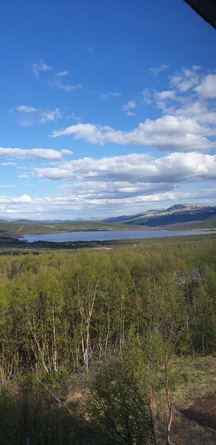 Snohetta Camping Hjerkinn Екстер'єр фото